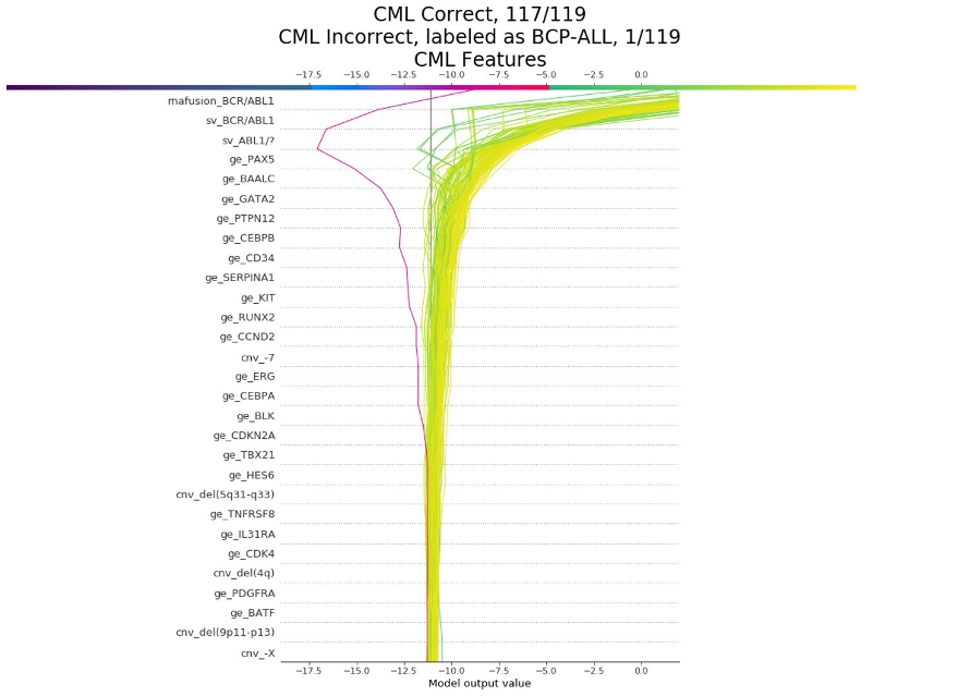 SHAP force plot for CML patient predicted correctly
