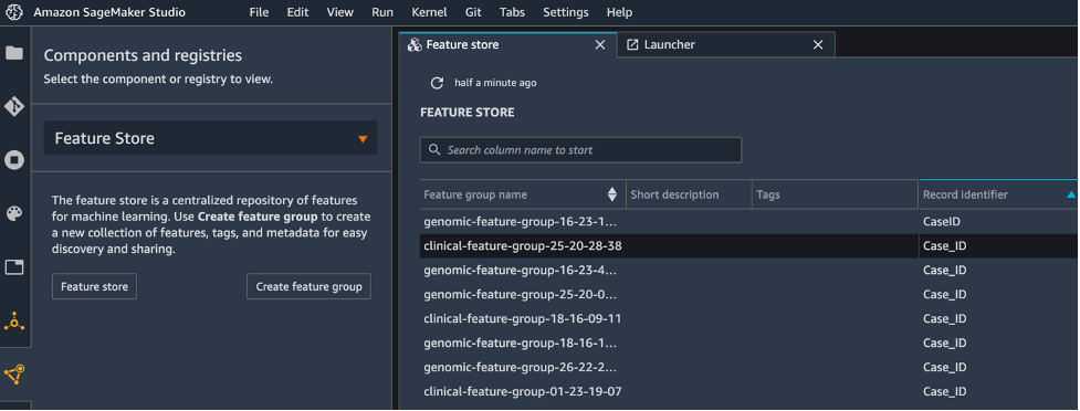 The processed features will be stored in the feature group as shown in a list of feature groups in Feature Store tab