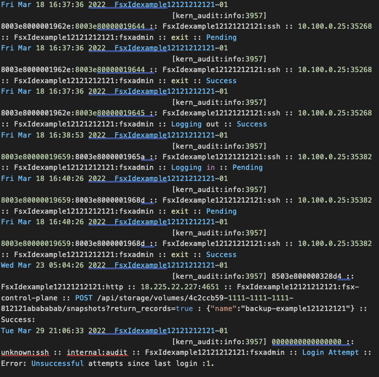 example security audit