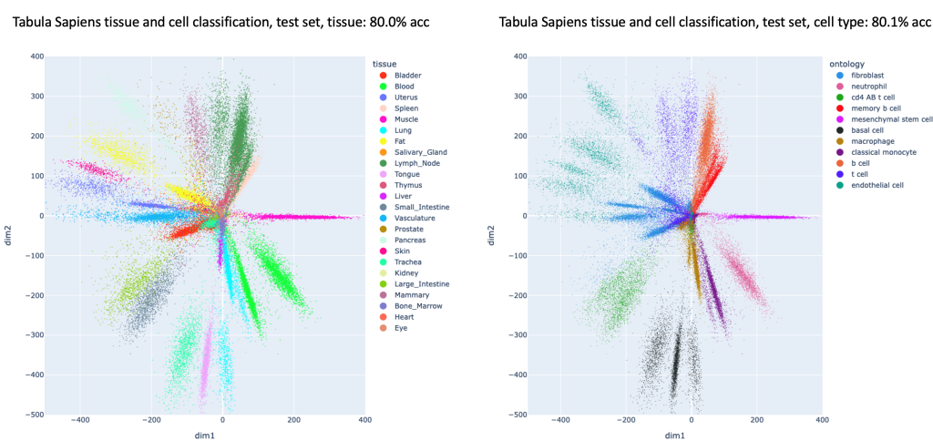 Figure 2 – Dimensionality reduction for the Tabula Sapiens test set with a supervised deep network trained to predict both
