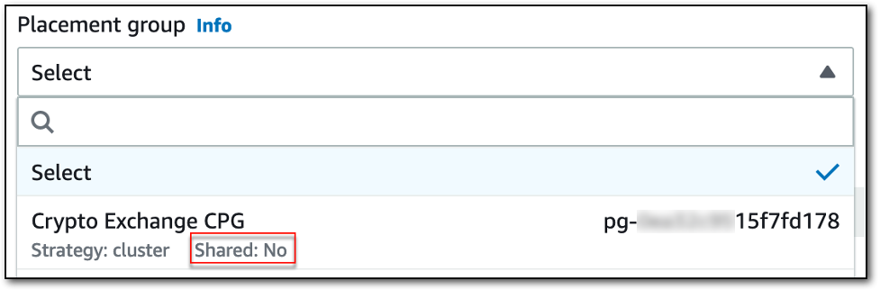 placement group info