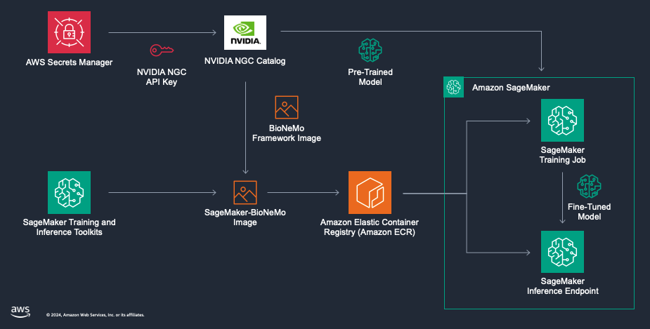Figure 2: This image shows the architecture for training and deploying AI models using BioNeMo on SageMaker. Engineering teams first must adapt the BioNeMo framework image into SageMaker training and inference containers, hosted in Amazon ECR. Then, researchers create SageMaker training jobs to fine-tune BioNeMo models on their own data. Finally, they deploy the models to inference end points to make predictions.