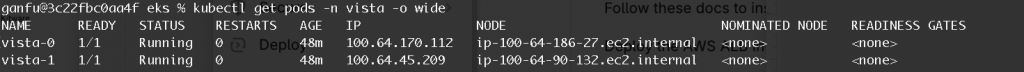 Screenshot of the terminal running kubectl command line showing running pods inside an EKS cluster