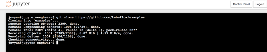 cloning a repository in Jupyter