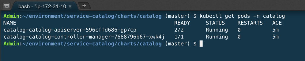 Service-Catalog pods running.