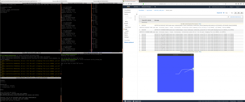 TurtleSim CloudWatch test example.