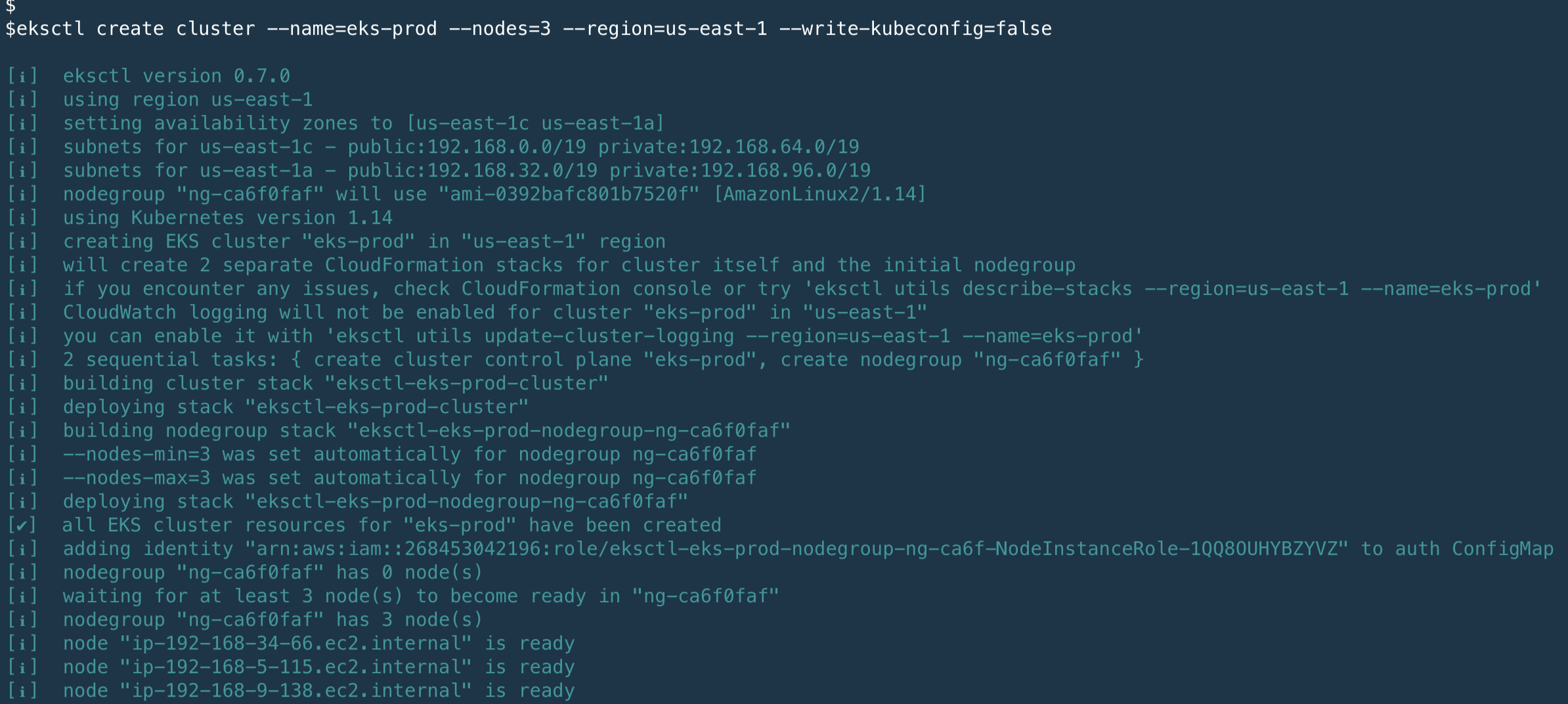 Detailed output of the eksctl command.