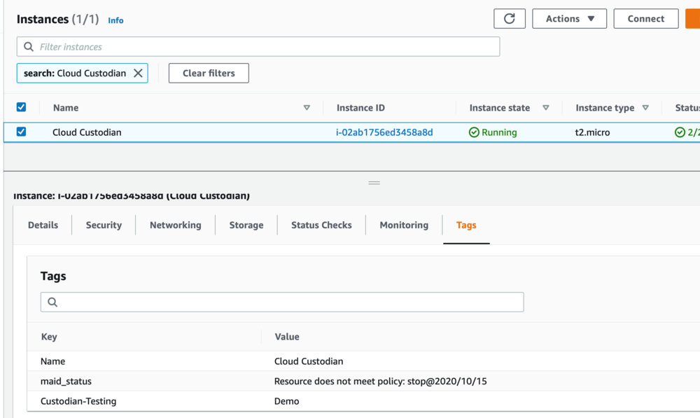 Screenshot of the console displaying the tags within the EC2 instance created earlier.