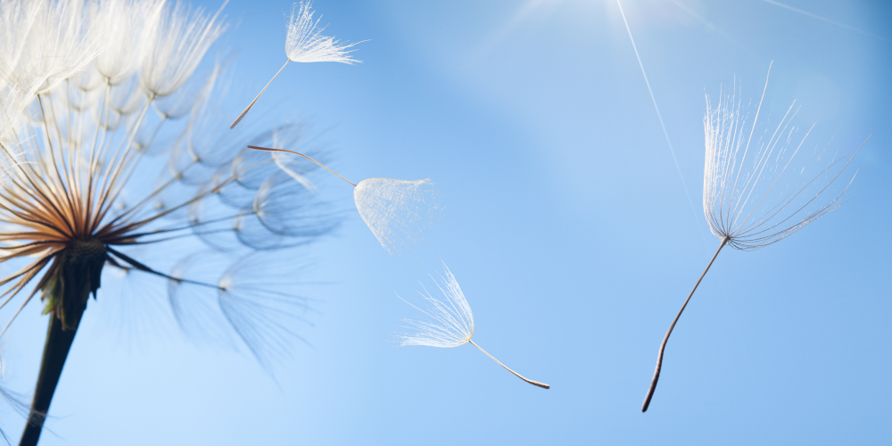 Chepko Danil – stock.adobe.com