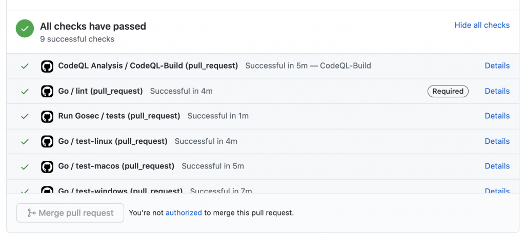 screenshot of a CodeQL test passing on a PR
