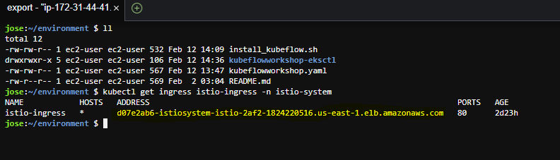 Screenshot showing results from kubectl get ingress istio-ingress -n istio-system