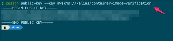cosign public key command