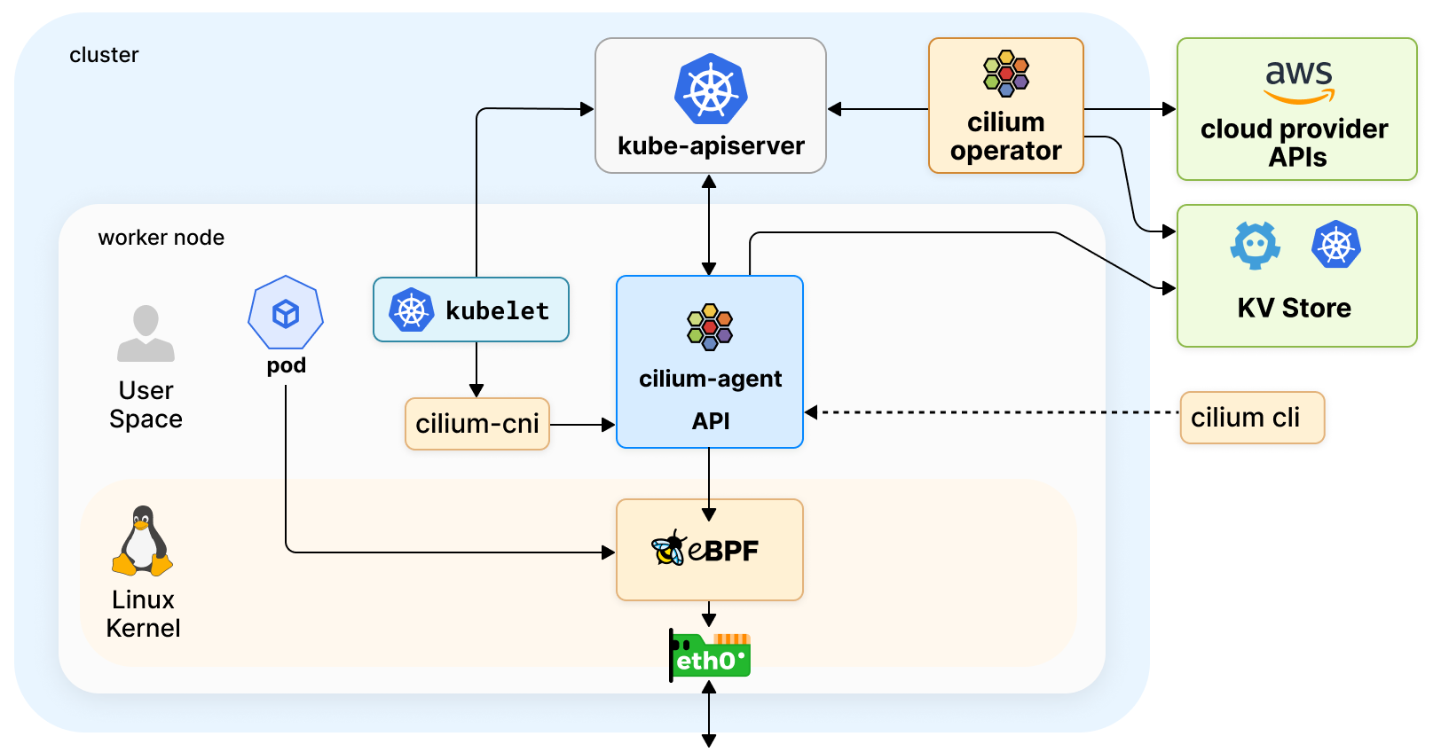 Figure 2 : Cilium Components