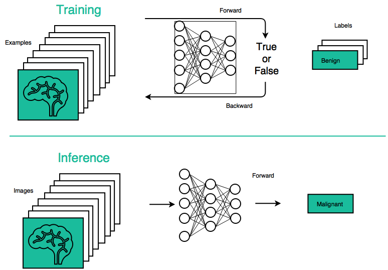 behold.ai convolutional neural networks methodology