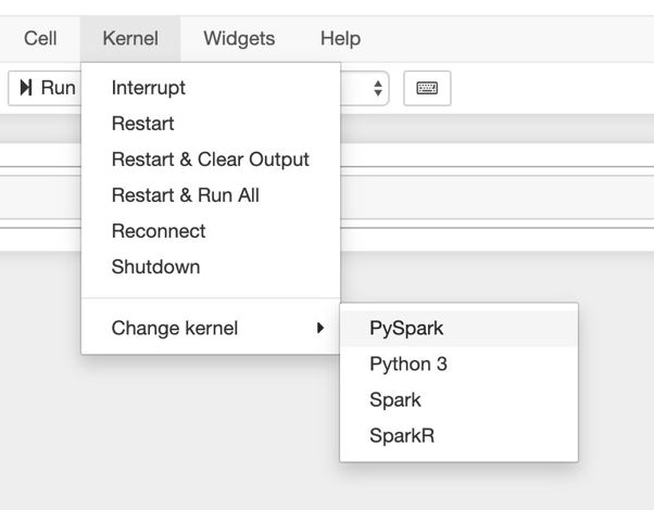 image of running different Kernels