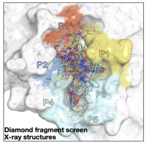 Post Era Initial Fragment Screen