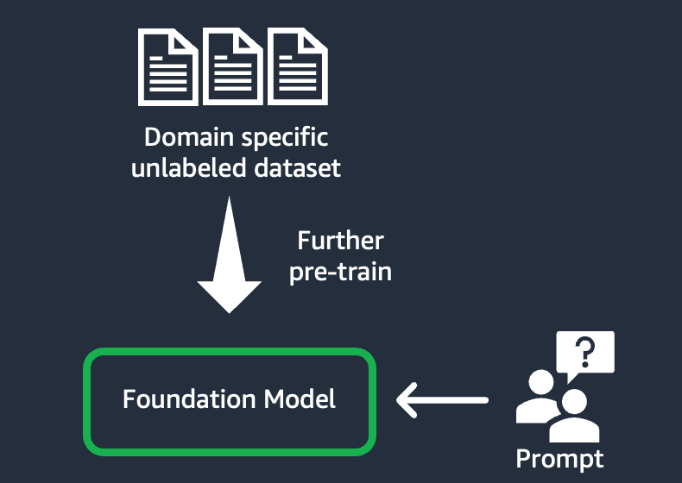 Figure 6: The domain adaptation workflow.Figure 6: The domain adaptation workflow.