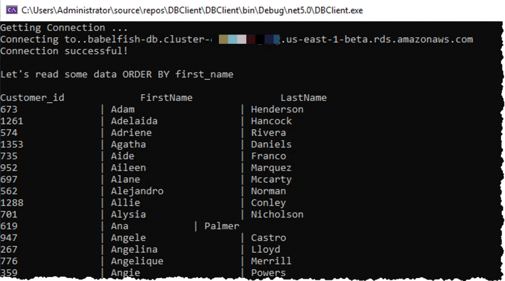 babelfish application execution