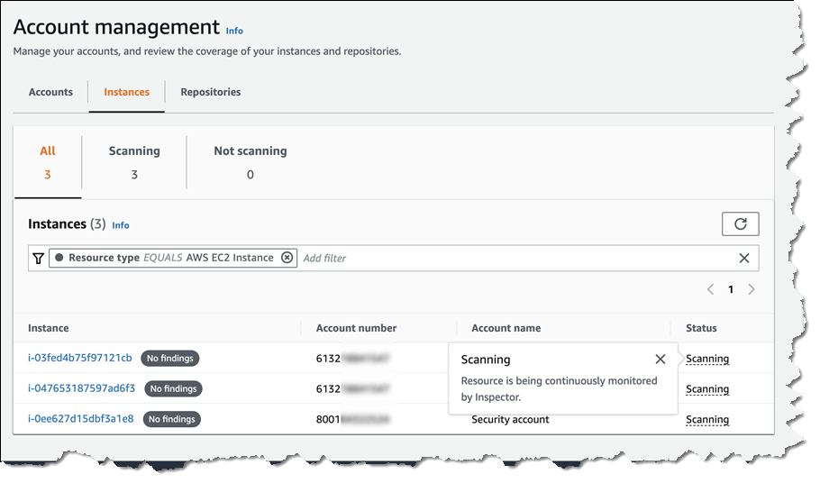 Viewing instances scanned by Amazon Inspector across accounts