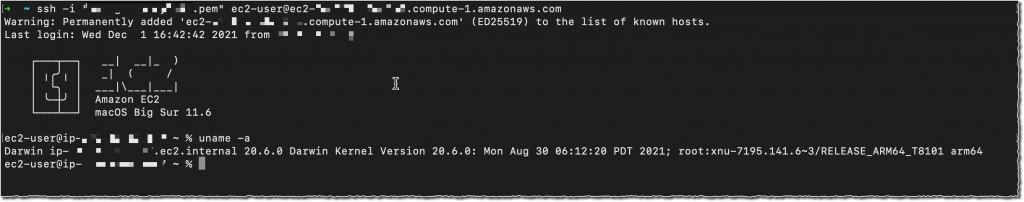 EC2 Mac M1 Instance uname -a