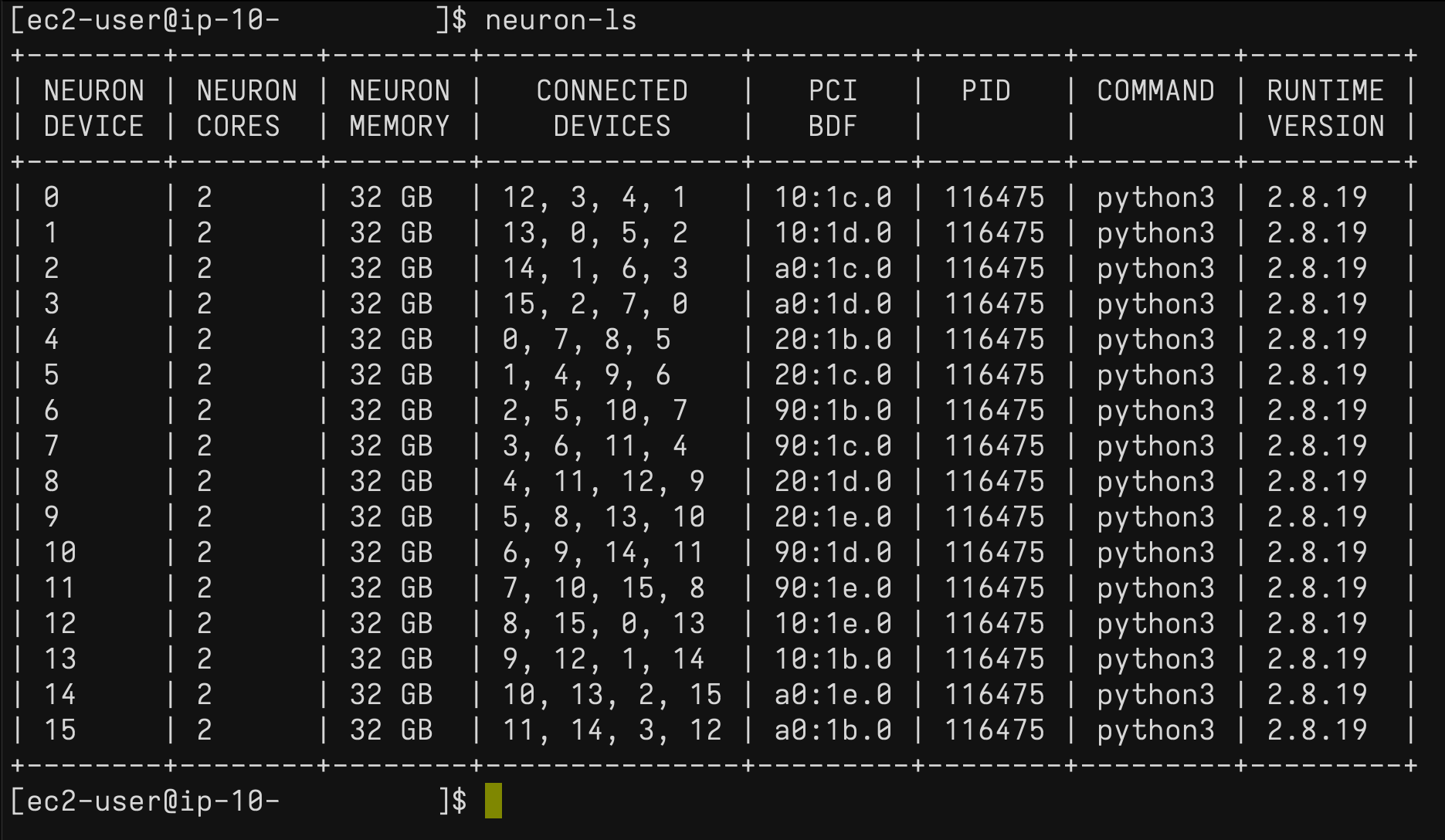 AWS Neuron SDK neuron-ls command