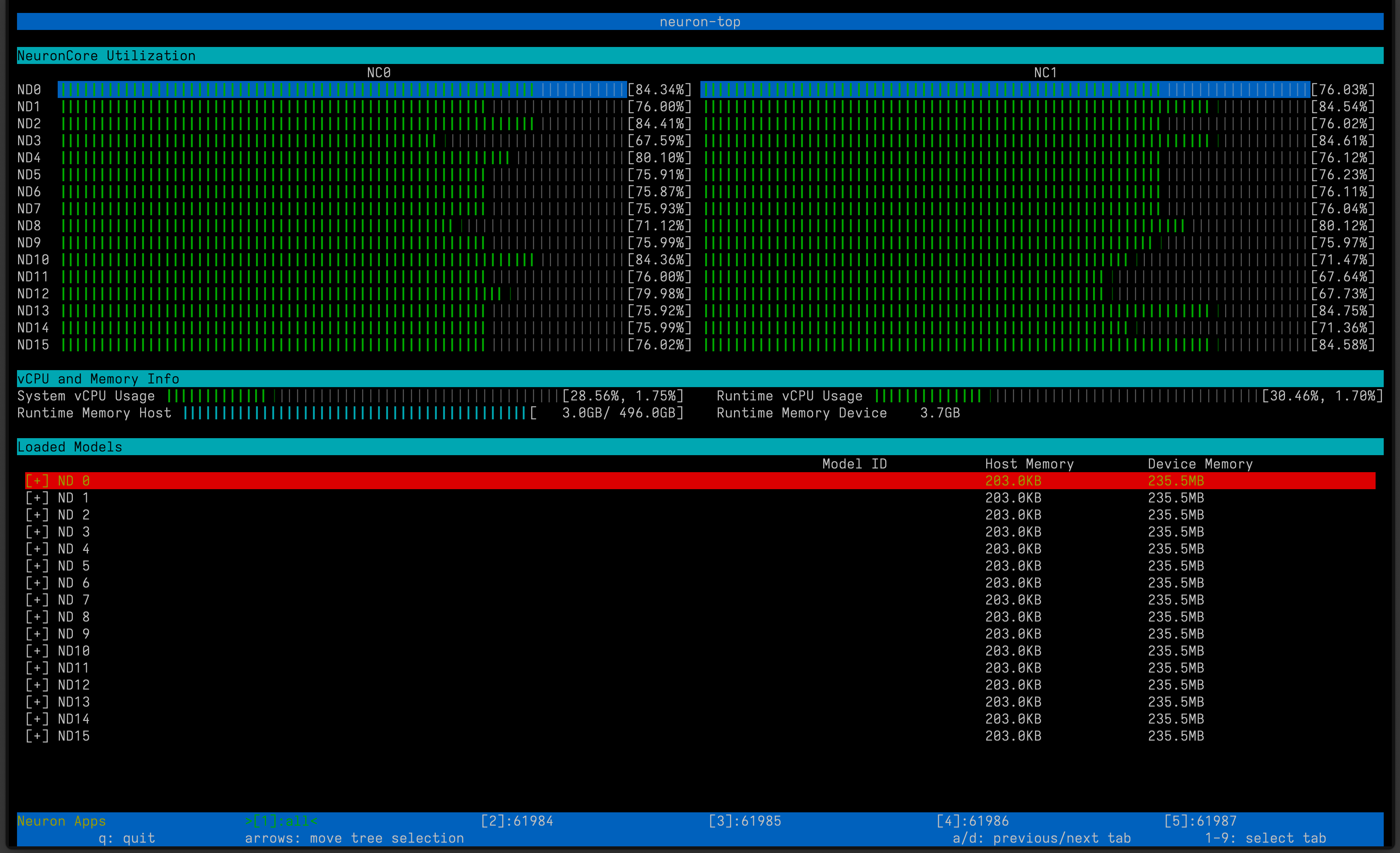 AWS Neuron SDK neuron-top command