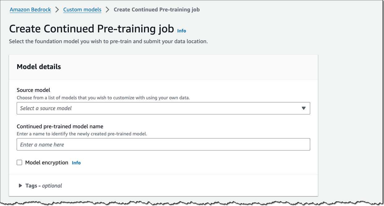 Amazon Bedrock - Custom Models