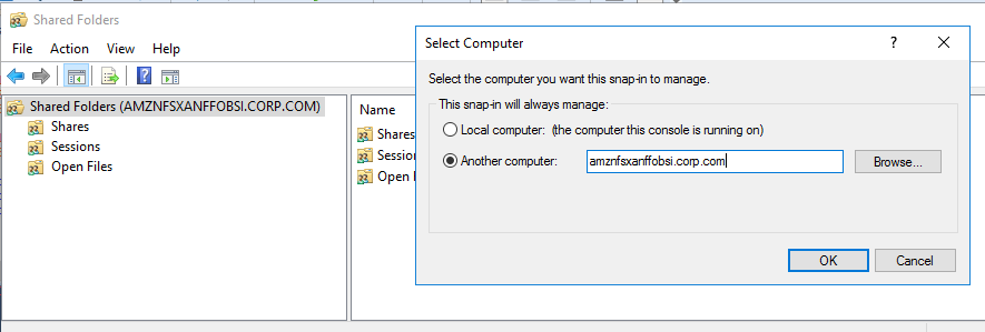 Provide the DNS name of the Amazon FSx file server obtained from the Amazon FSx Console