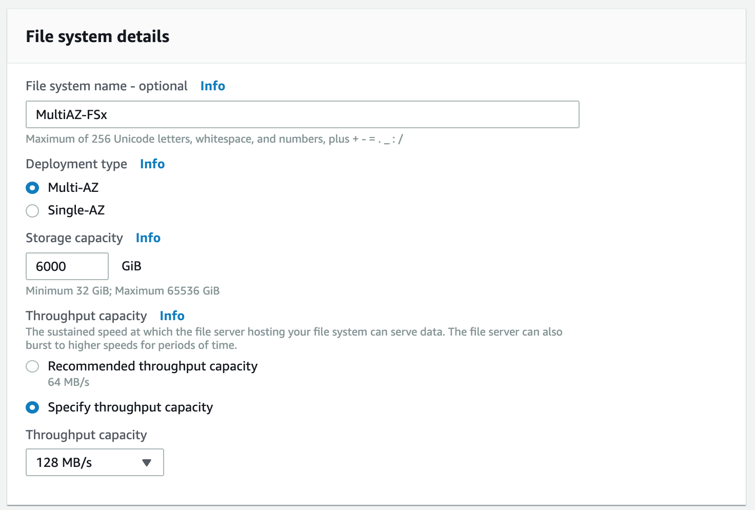 例として、このテストでは 128 MBps のスループット容量レベルで、6000 GB のストレージ容量 (最大 18000 IOPS を提供するため) を使用しました