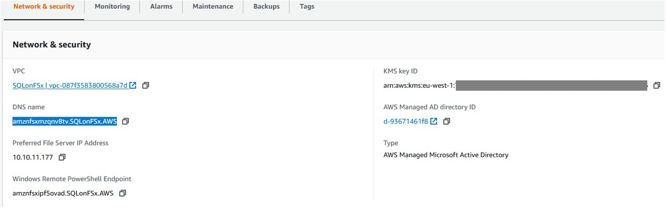 Amazon FSx コンソールで、ファイルシステムの詳細画面に移動し、ファイルシステムの DNS 名を特定します