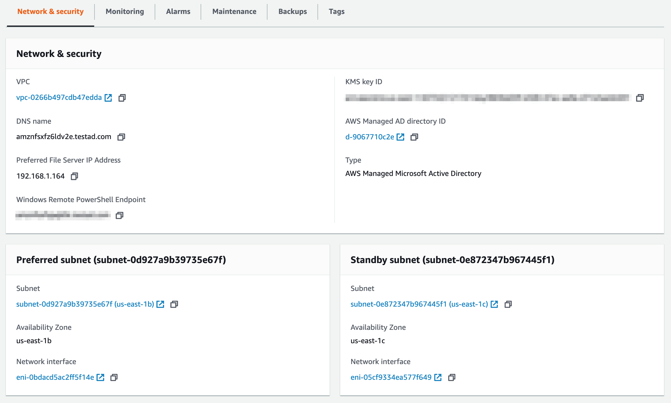 When the file system finishes creating, select the file system name and verify the VPC subnet location information from the Network & security tab.