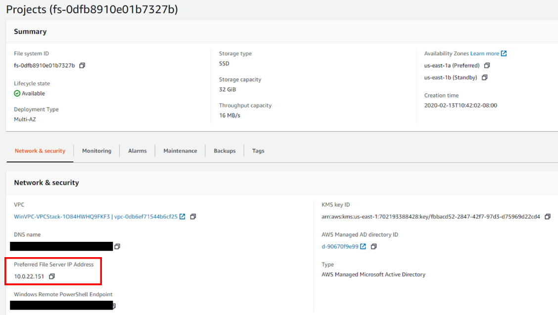 For the SMB Server IP address, specify the Preferred File Servier IP Address