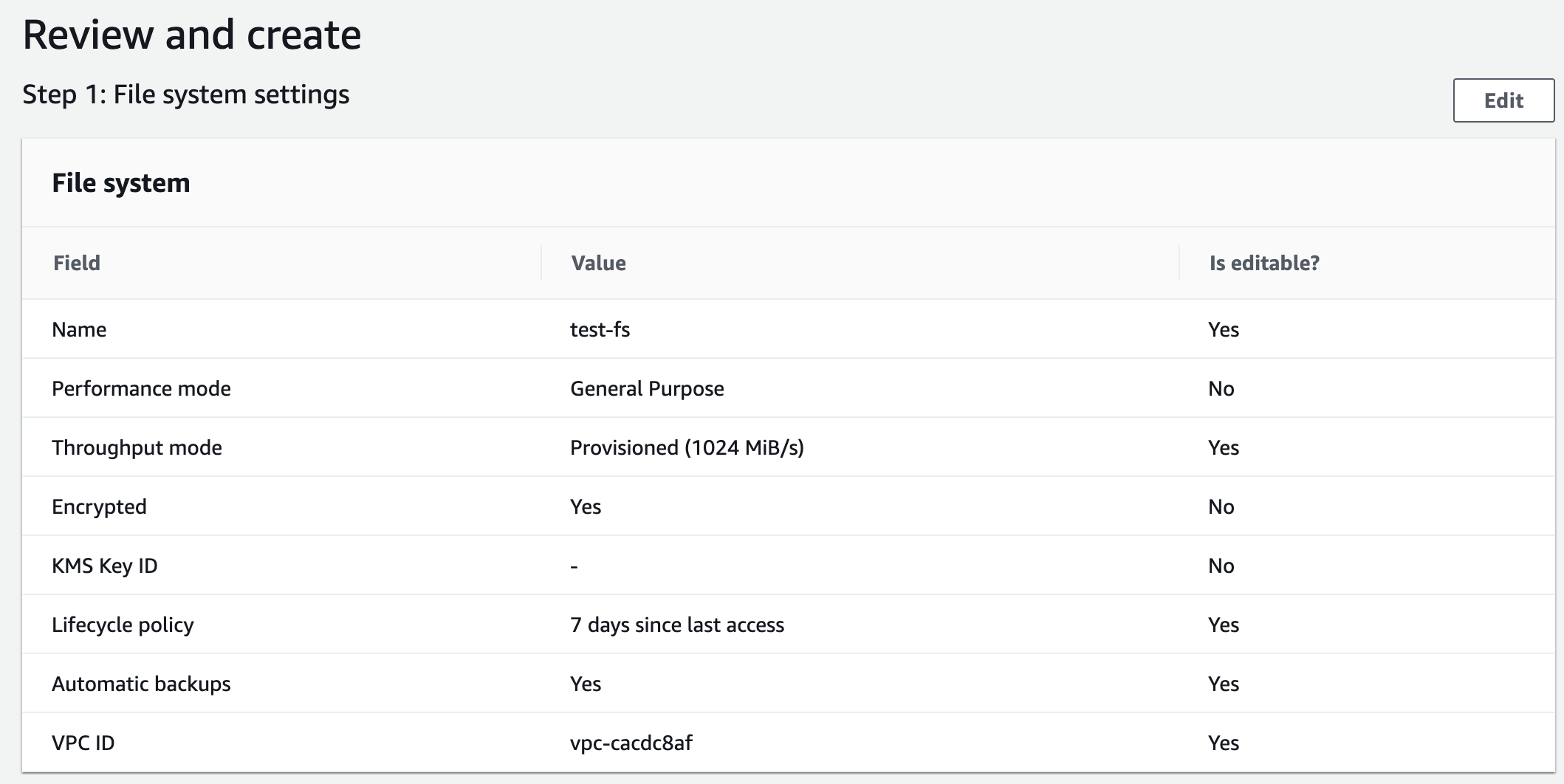 Full wizard when you choose to customaize your new file system, with opions for performance mode, throughput mode, encryption, and more