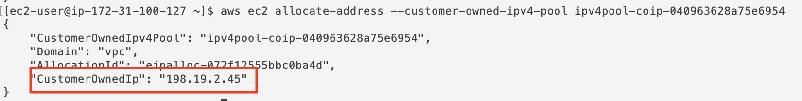 Output after running the command to allocate a new address