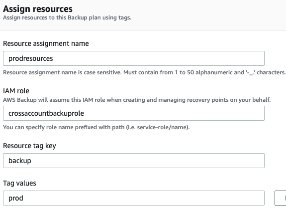In the Assign resources section, provide the resource assignment name, resource tag key, and tag values.