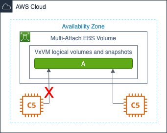 Figure 2 - HA scenario with Veritas CVM