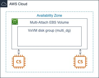 Figure 3 - AWS Nitro System-based instances with Multi-Attach enabled EBS volume and CVM