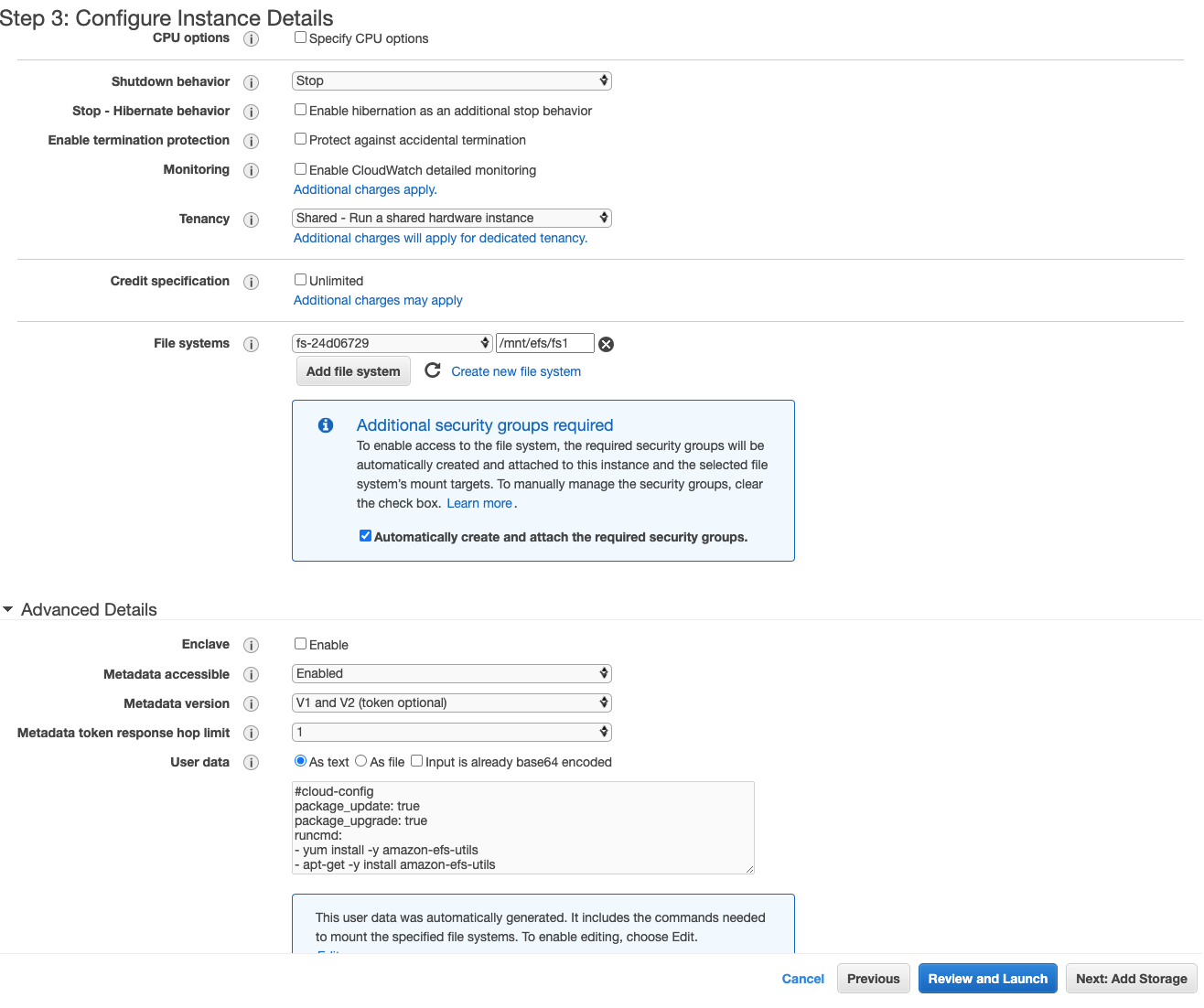 At this point, you have successfully created a new Amazon EFS file system and added it to the EC2 instance you are launching.