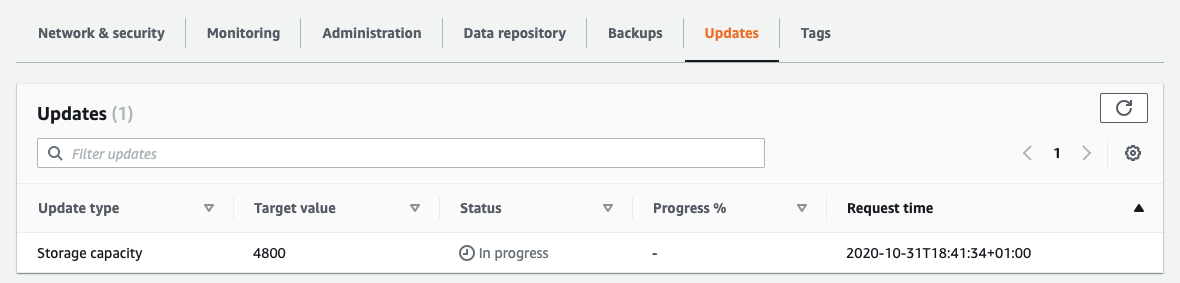 I am increasing the file system from 1.2 TiB to 4.8 TiB, and I can monitor the status of the operation through the Updates tab.