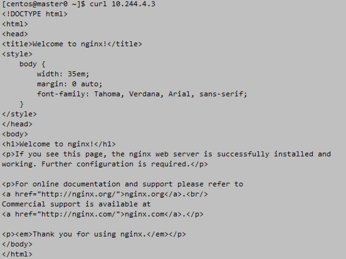 An output showing “Welcome to nginx!”