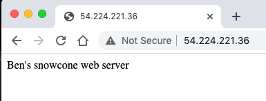 I check the web server works by going to the public IP address of the EC2 instance in a browser