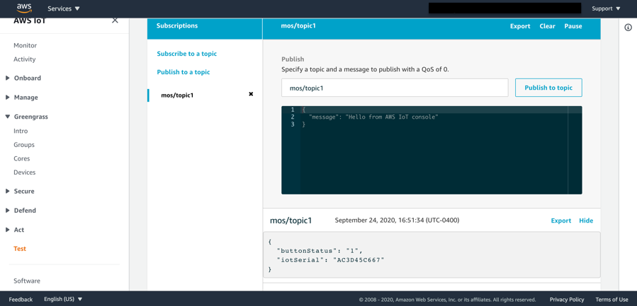 In your AWS Management Console, click on the Test link in the left navigation pane, then enter the subscribe topic as “mos(slash)topic1”.