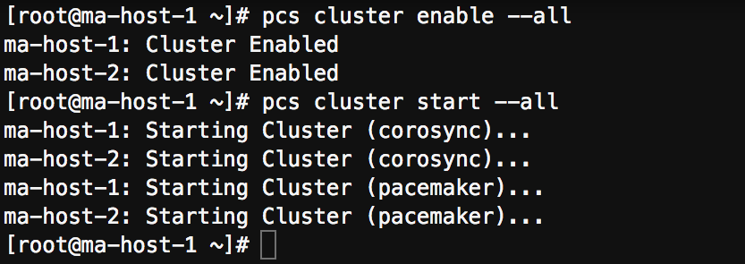 Figure 8 - Starting the cluster
