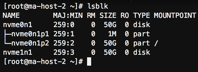 Figure5 - lsblk output from both hosts