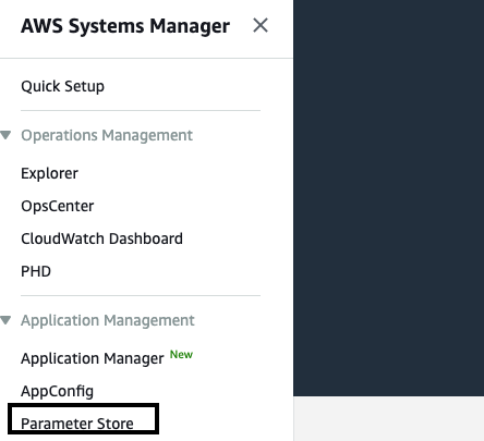 Choose Parameter Store