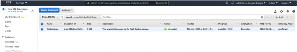 Search for the Snapshot ID in the search box (1)