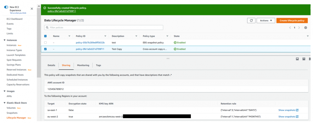 Back at the Amazon DLM console page, you can select the policy and see more details. (1)