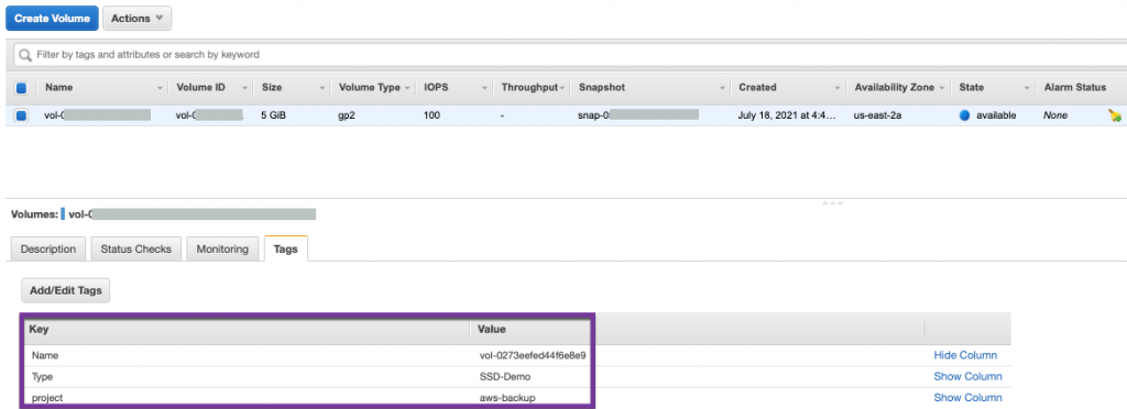 Figure 7 - EBS volume and tags successfully restored