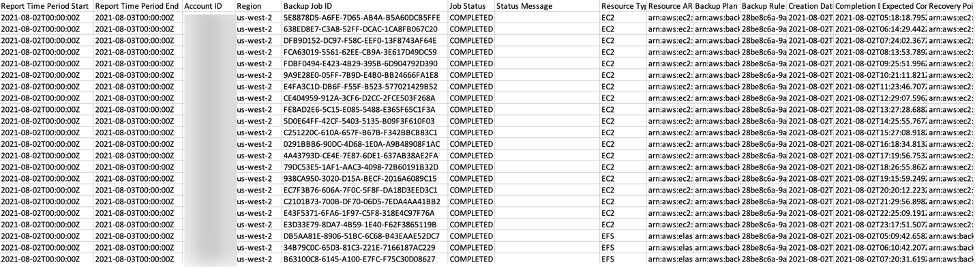 Example of a 'Backup jobs report' in CSV format