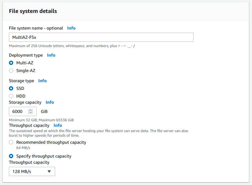 As an example, in our testing we used a 6000-GB storage capacity (to deliver a maximum of 18000 IOPS) along with a throughput capacity level of 128 MBps(1)